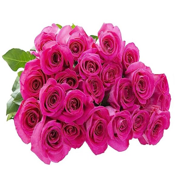 KaBloom: 25 Hot Pink Roses, Next-Day Delivery, Gift for Every Occasion.