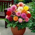 thumbnail image 2 of Gardenera Labs Premium Dahlia Potting Soil Mix - Ideal for Growing Vibrant and Healthy Dahlias - 4 Quart, 2 of 3