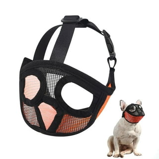 Dog Muzzles Walmart Canada