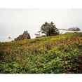 thumbnail image 3 of Van Swearingen, Debra 24x20 Black Modern Framed Museum Art Print Titled - Oregon Coast, 3 of 5