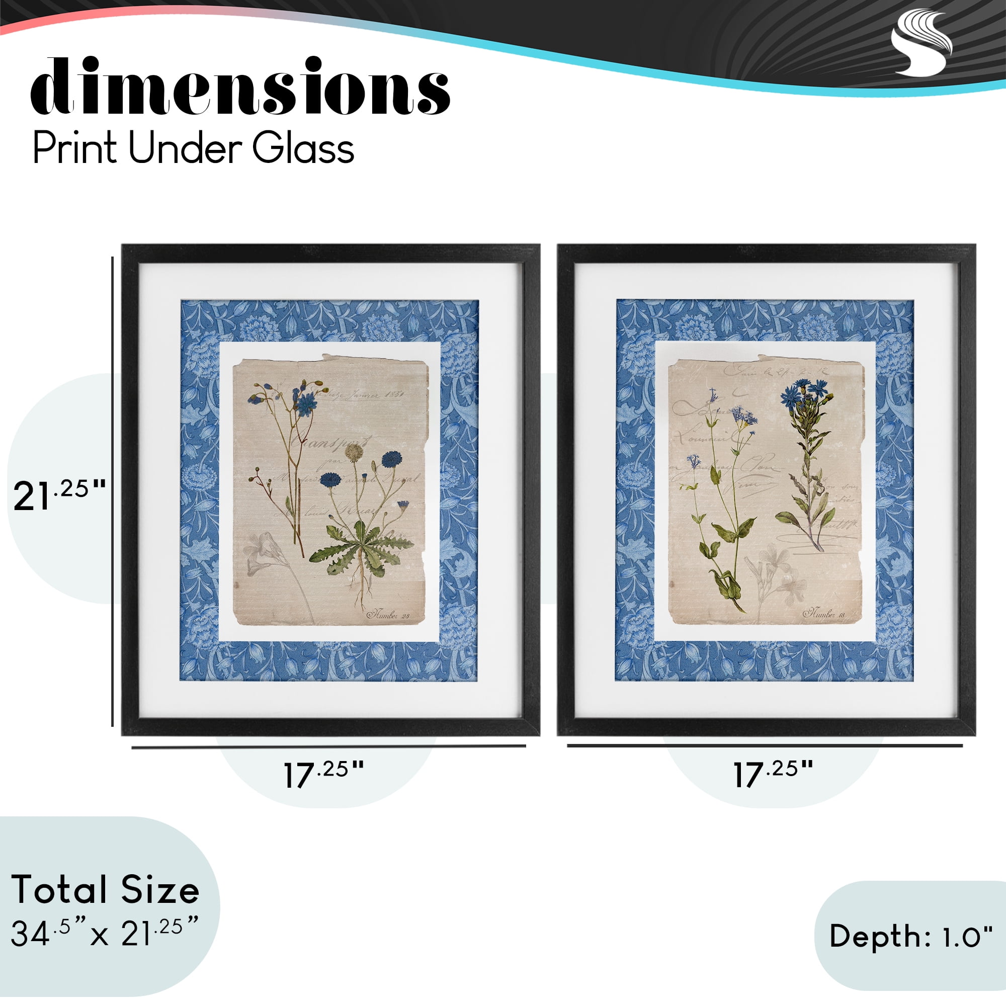 Stupell Industries Blue Botanical Herbs 2 Piece Black Framed Print Under Glass Set, design by Livi Finn