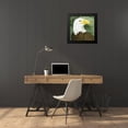 thumbnail image 4 of Popp, Grace 20x20 Black Modern Framed Museum Art Print Titled - Bald Eagle Stare I, 4 of 5