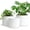 White, variant on Large Plant Pots Set of 3 – 8", 9", 10" Indoor Flower Pots with Drainage Holes and Saucers, Big Planters for Monstera, Fiddle Leaf Fig, Snake Plant – 5 Colors