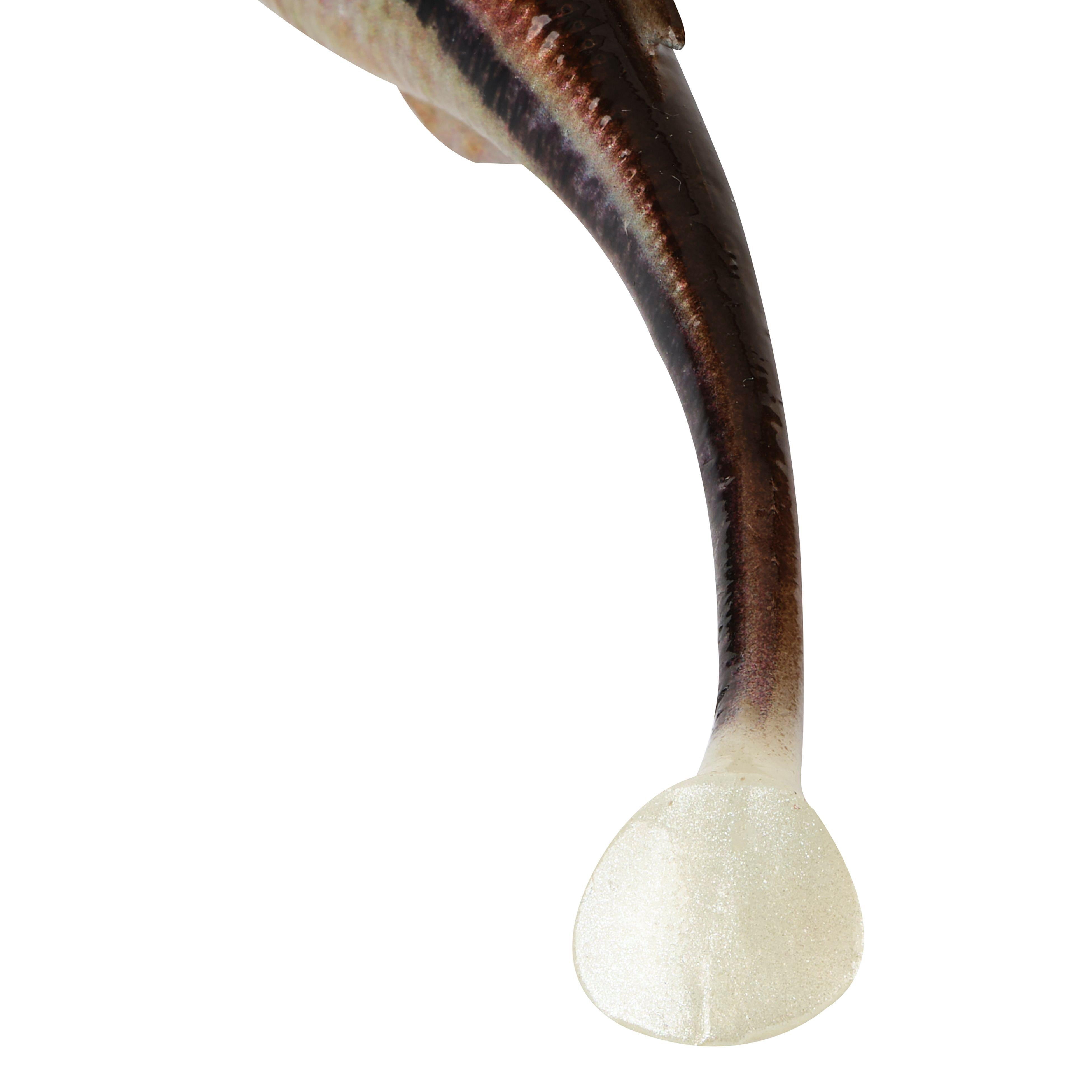 Berkley PowerBait Drip Swimmer 3in HD Blacknose Shiner