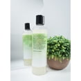 thumbnail image 3 of TREEMINT SHAMPOO, 3 of 4