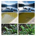 thumbnail image 3 of facefd for Ultra Slim CPL Filter Circular Polarizing Filter AGC Optical Glass Photography Lens for Camera No.2, 3 of 6