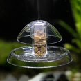 thumbnail image 4 of ShenMo Attrape-Escargot transparent, Boîte à Escargots pour aquarium aquarium, 4 of 4
