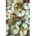 thumbnail image 2 of Talent, Kelley 17x24 Gold Ornate Wood Framed with Double Matting Museum Art Print Titled - Heirloom Pumpkins, 2 of 4