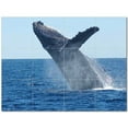 thumbnail image 1 of Whale Ceramic Tile Mural Kitchen Backsplash Bathroom Shower 403079-XL43, 1 of 9