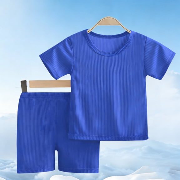 Amidoa Girls Summer 2 Piece Outfits Cute Short Sleeve and Casual Shorts Kids Clothing Set Blue Size 1T