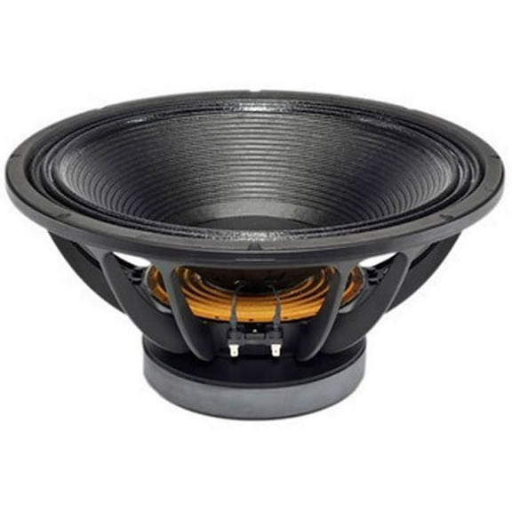 B & C Speakers 18TBW100-4 18 in. Professional Subwoofer, 4 Ohm