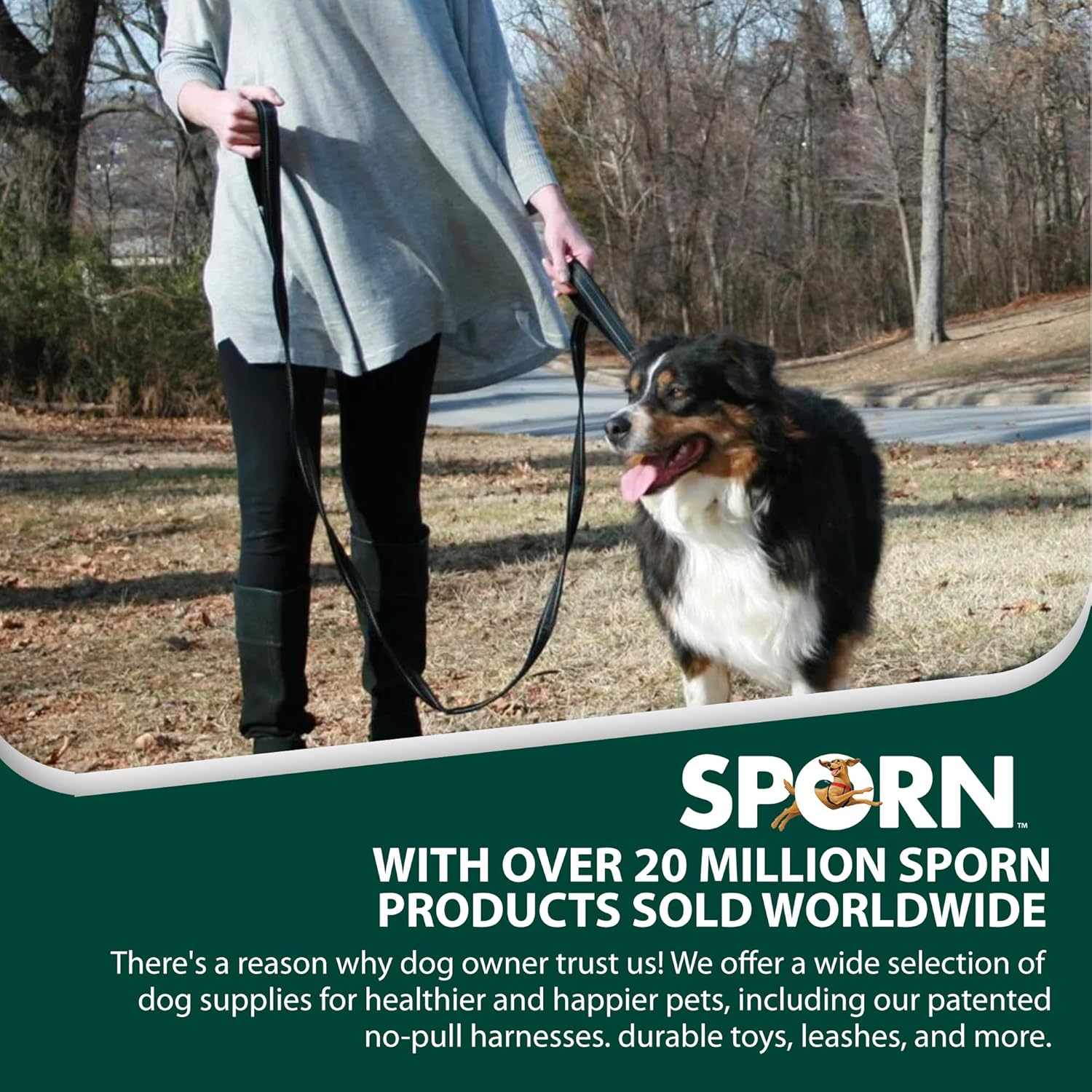 Sporn Dual Handle Dog Training Leash 6 Feet photo 8