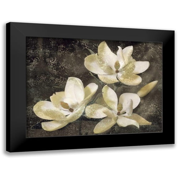 Seba, John 14x12 Black Modern Framed Museum Art Print Titled - The Magnolia Tree