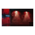 thumbnail image 2 of Wolfenstein: Youngblood for Nintendo Switch Deluxe Edition, 2 of 2