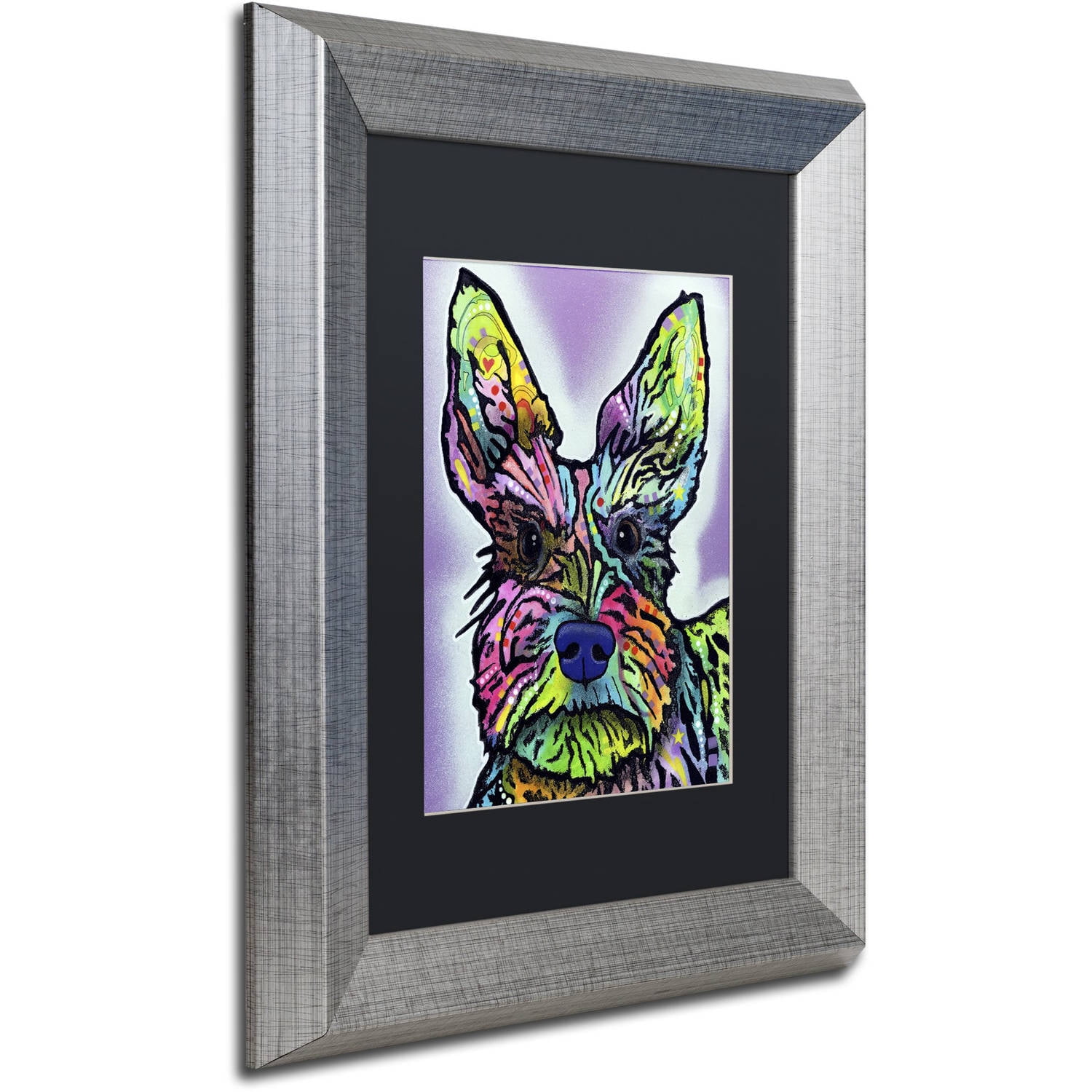 Trademark Fine Art "Stella" Canvas Art by Dean Russo, Black Matte, Silver Frame