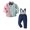 Pink, variant on Vedolay Boy's Fall Sets Toddler Boy Long Set Clothes Casual Crew Neck Long Sleeve Top and Pants Sets,Pink 5-6 Years