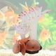 thumbnail image 5 of Acuario de silicona de Color brillante, fondo marino Artificial, cuerpo suave, simulación elástica completa, peceras de Coral, decoración de paisaje, 5 of 8