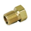 Reducing Bushing, Brass, 1/2 In. x 1/4 In.