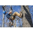 thumbnail image 4 of Dickies ^^dickies Duck Jean, 4 of 4