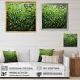 thumbnail image 4 of Designart "Kitchen Fantasy with Fennel Herbs II" Floral Framed Wall Art - Green Herbs Entryway Framed Wall Art Print, 4 of 6