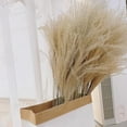 thumbnail image 3 of 100Pcs Rustic Dried Pampas Grass Reeds Arrangements Vase Filler, 3 of 10
