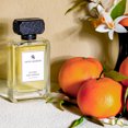 thumbnail image 2 of Swiss Arabian Vetiver y Naranja, Perfume para Mujer, 100 ml EDP Spray, 2 of 4