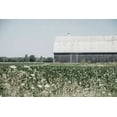 thumbnail image 2 of Urquhart, Elizabeth 14x11 White Modern Wood Framed Museum Art Print Titled - Weathered I, 2 of 4