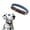 blue, variant on Mile High Life | Genuine Leather Dog Collar | Heavy Duty Canvas Dog Collars with Adjustable Rust-Proof Metal Pin Buckle | Boy Dog Collars for Small Dogs(blue)