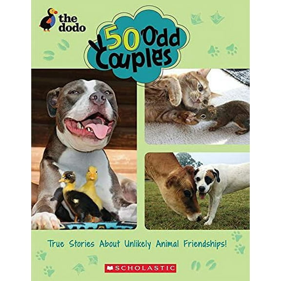 Pre-Owned 50 Odd Couples (the Dodo) (Paperback) 1338576208 9781338576207