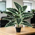 thumbnail image 5 of Artificial Money Tree Potted Plant Large Faux Greenery Fake Plant for Garden Porch Office Home Indoor Outdoor Decor, 5 of 6