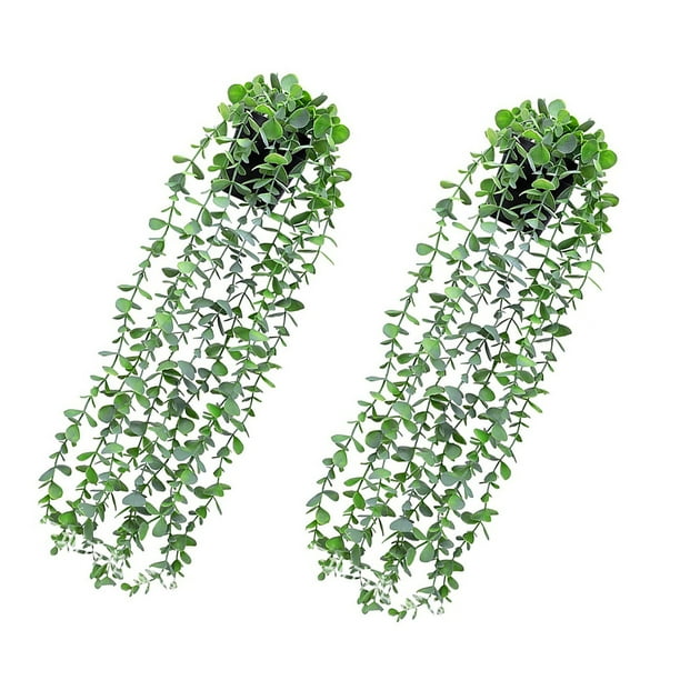 Billuyoard De plantas de eucalipto artificiales para interior y exterior, vid falsa Natural, planta en maceta, decoración colgante, decoración Decoración del hogar