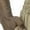 Khaki, variant on Men's Dynamic Work Pants | CAT® Workwear