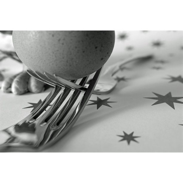 Origin Life Nutrition Food Fork Egg Cutlery 12 Inch By 18 Inch Laminated Poster With Bright Colors And Vivid Imagery Fits Perfectly In Many Attractive Frames Walmart Com Walmart Com