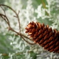 thumbnail image 2 of 17.5"H Sullivans Mixed Cedar & Pine Christmas Mini Wreath, Green, 2 of 3