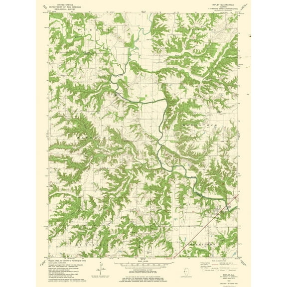 Topographical Map - Ripley Illinois Quad - USGS 1981 - 23 x 30.67 - Vintage Wall Art