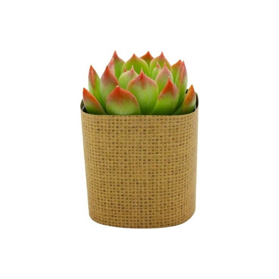 Plants Of Joy Burlap Print Print Succulent Wraps for Weddings, Baby Shower, and Party Favors. 25 Count Pack.