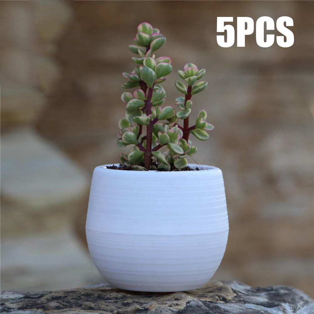 5PCS Mini Round Flower Pot Succulent Plant Planters For Home Garden Decoration 