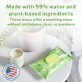 thumbnail image 6 of McKesson Flushable* Wet Wipes - Aloe & Vitamin E Formula, Gentle on Skin, Plant-Based Adult Cleansing Wipes - Unscented, 48 Wipes, 1 Pack, 6 of 10