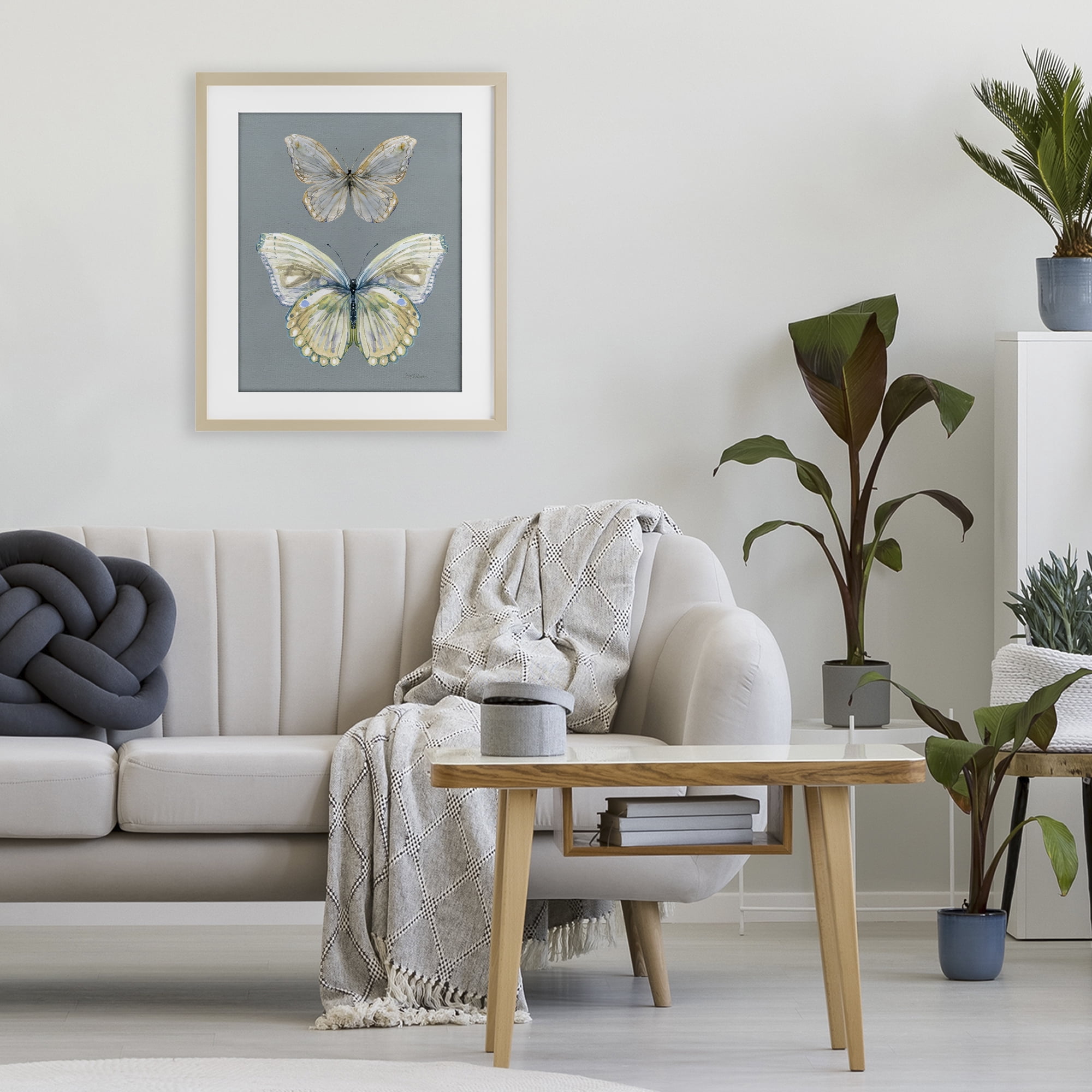 Stupell Industries Butterfly Pair Study Birch Framed Print Under Glass, design by Carol Robinson