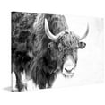 thumbnail image 2 of Marmont Hill Buffalo Forward Canvas Wall Art, 2 of 7