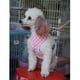 thumbnail image 2 of Ropa de Arnés Suave Zulema para Perro Mascota Talla L Rosa, 2 of 5
