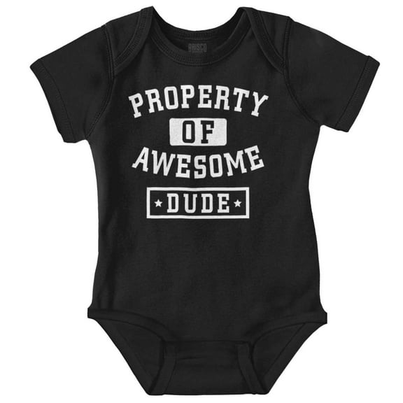 Sarcastic Property of Awesome Dude Bodysuit Jumper Boys Infant Baby Brisco Brands NB
