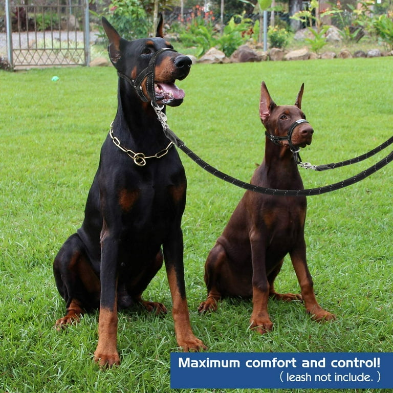 Pawaboo dog head halter hotsell