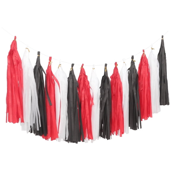 HEMOTON Multi Color Paper Tassel Banner for Decor Lightweight and Eye Catching Garland for Parties and