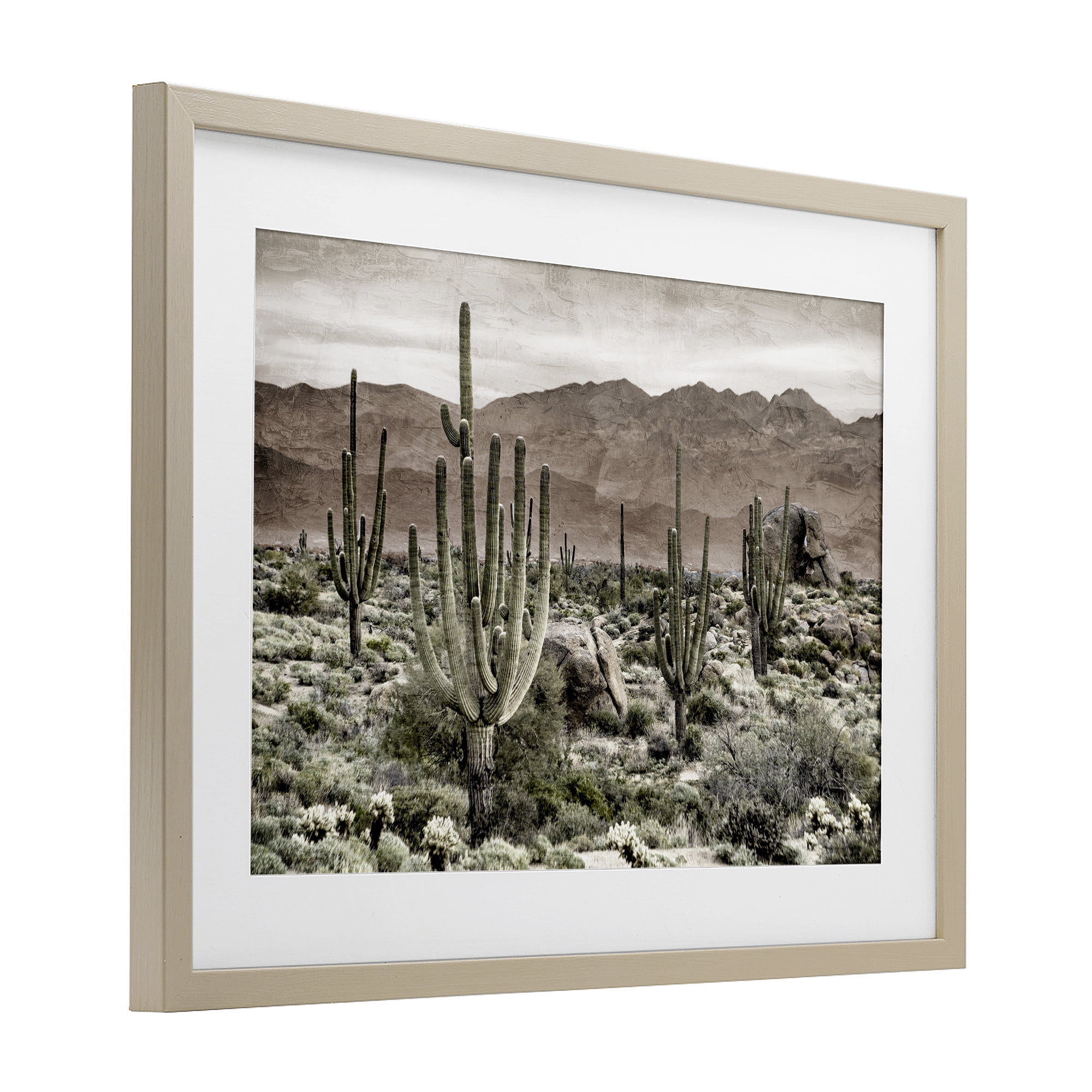 Stupell Industries Desert Land Cacti Wilderness Birch Framed Print Under Glass, design by Kim Allen