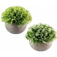 thumbnail image 1 of Mini plantas suculentas artificiales con maceta, planta decorativa para el hogar, jardín, cocina, boda interior y exterior, 1 of 4