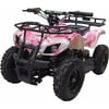 XtremepowerUS 350W ATV Kid Ride-on Outdoor 24V Mini Quad Electric Battery Powered 4 Wheels w/ Front & Rear Rack, Pink