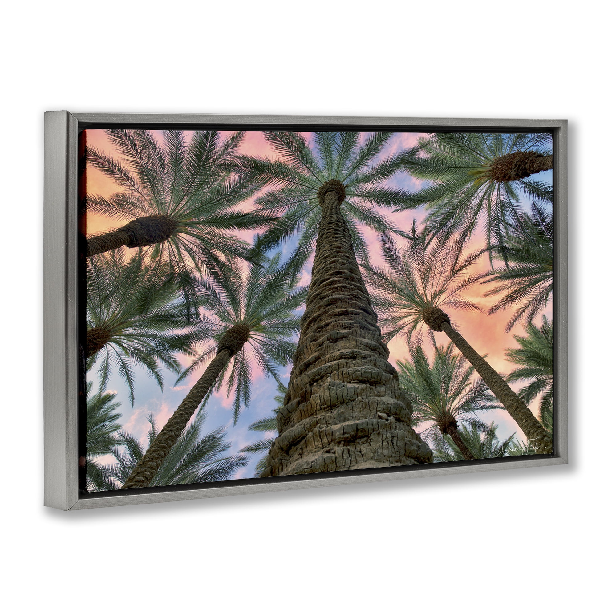 Stupell Industries Tall Overhead Palms Plants & Flowers Photography Gray Floater Framed Canvas Art Print Wall Art, 25 x 17