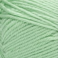 thumbnail image 3 of (6 pack) Red Heart Soft Baby Steps Yarn-Baby Green, 3 of 4