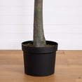 thumbnail image 5 of Nearly Natural Potted Eucalyptus Artificial Tree - 12' - Green, 5 of 8